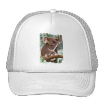 Hat Template - Customized