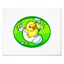 hatching chick daisies green oval photograph