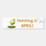 Hatching in April! Maternity/Pregnant Due In April Bumper Sticker