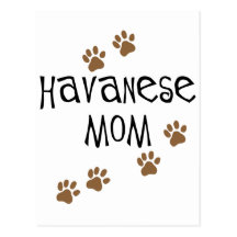 Havanese Mum Post Card
