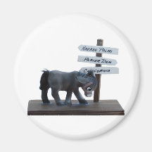 Havasu Palms Burro Fridge Magnets