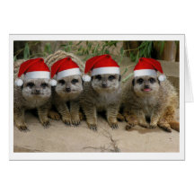 Have a Meerkat Christmas! Cards