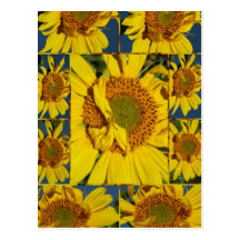 Have a sunshine day postcard