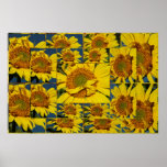 Have a sunshine day print