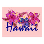 Hawaii colourful flowers postcard