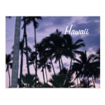 Hawaii palm trees at sunset post cards