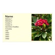 Hawaiian Frangipani Business Card
