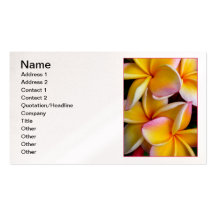 Hawaiian Frangipani Business Card
