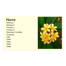 Hawaiian Frangipani Business Card Template