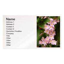 Hawaiian Frangipani Business Card Template