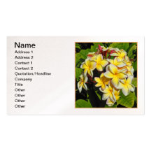 Hawaiian Frangipani Business Cards