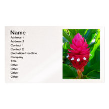 Hawaiian Ginger Business Card Templates