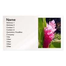 Hawaiian Ginger Business Card Templates