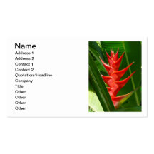 Hawaiian Heliconia Business Card Template
