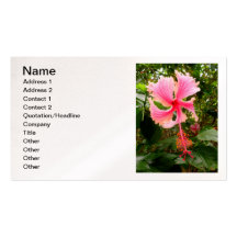 Hawaiian Hibiscus Business Card