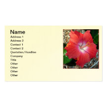 Hawaiian Hibiscus Business Card Templates