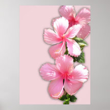 Hawaiian Pink Hibiscus Poster