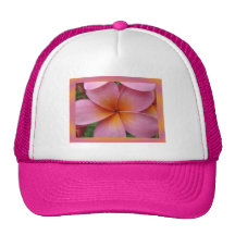 Hawaiian Pink Plumeria Frangipani Tropical Flower Hat