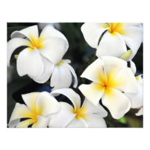 Hawaiian Plumeria Flowers Invitation
