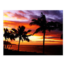 Hawaiian Sunset Postcard
