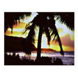 Hawaiian Tropical Sunset Postcard
