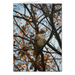 Hawk Day Greeting Card