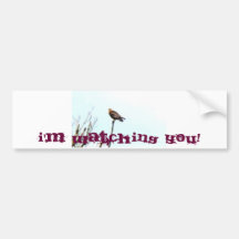 Hawk Eye Air Mail Bumper Stickers