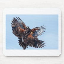 Hawks Fight for Control of the Sky Mousepads