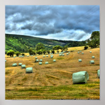 hay field posters