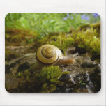 hay for snail day! mouse pad