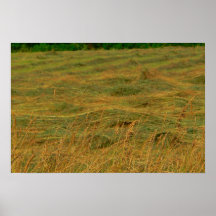 Hay Print