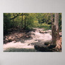 Hazel Creek III, Smoky Mountains Poster