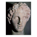 Head of Alexander the Great Post Cards