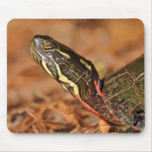 Heads up mouse pad