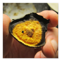 Heart Burned on Chip Photo Art