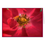 Heart of Rose Valentine Greeting Card
