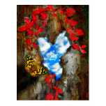 Heart of the forest post cards