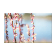 Hearts for you Oil Painting Gallery Wrapped Canvas