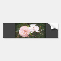 Heaven on Earth Roses in Dark Vignette Bumper Stickers