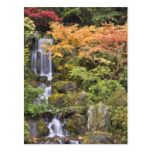 Heavenly Falls and autumn colours Postcard