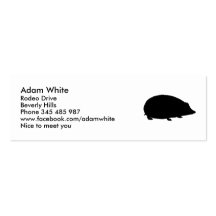 Hedgehog Business Card Template