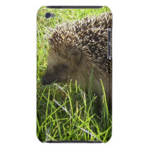 Hedgehog  iTouch Case iPod Touch Cover