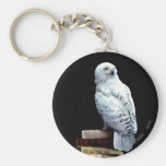 Hedwig on books keychain