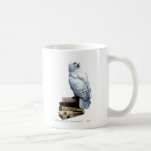 Hedwig on books mug