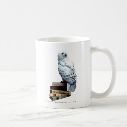 Hedwig on books mug