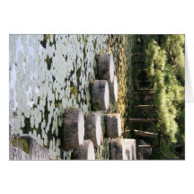 Heian Gardens Pond and Walk in Kyoto Greeting Cards
