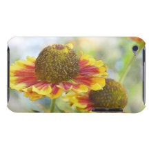 Heleniums In The Summer Garden iPod Case-Mate Cases