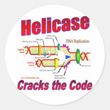 Helicase Cracks the Code Round Stickers
