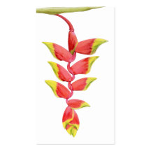 Heliconia Branch Profile Card Business Card