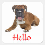 Hello Boxer Puppy Dog Greeting Sticker